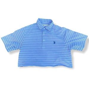 Blue stripe cropped polo